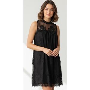 Francesca’s Coco + Jaimeson Black Lace Whimsigoth Mini Dress